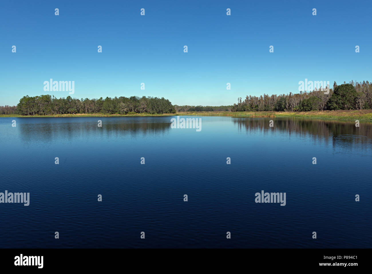 Mac Lake's Instagram, Twitter & Facebook on IDCrawl