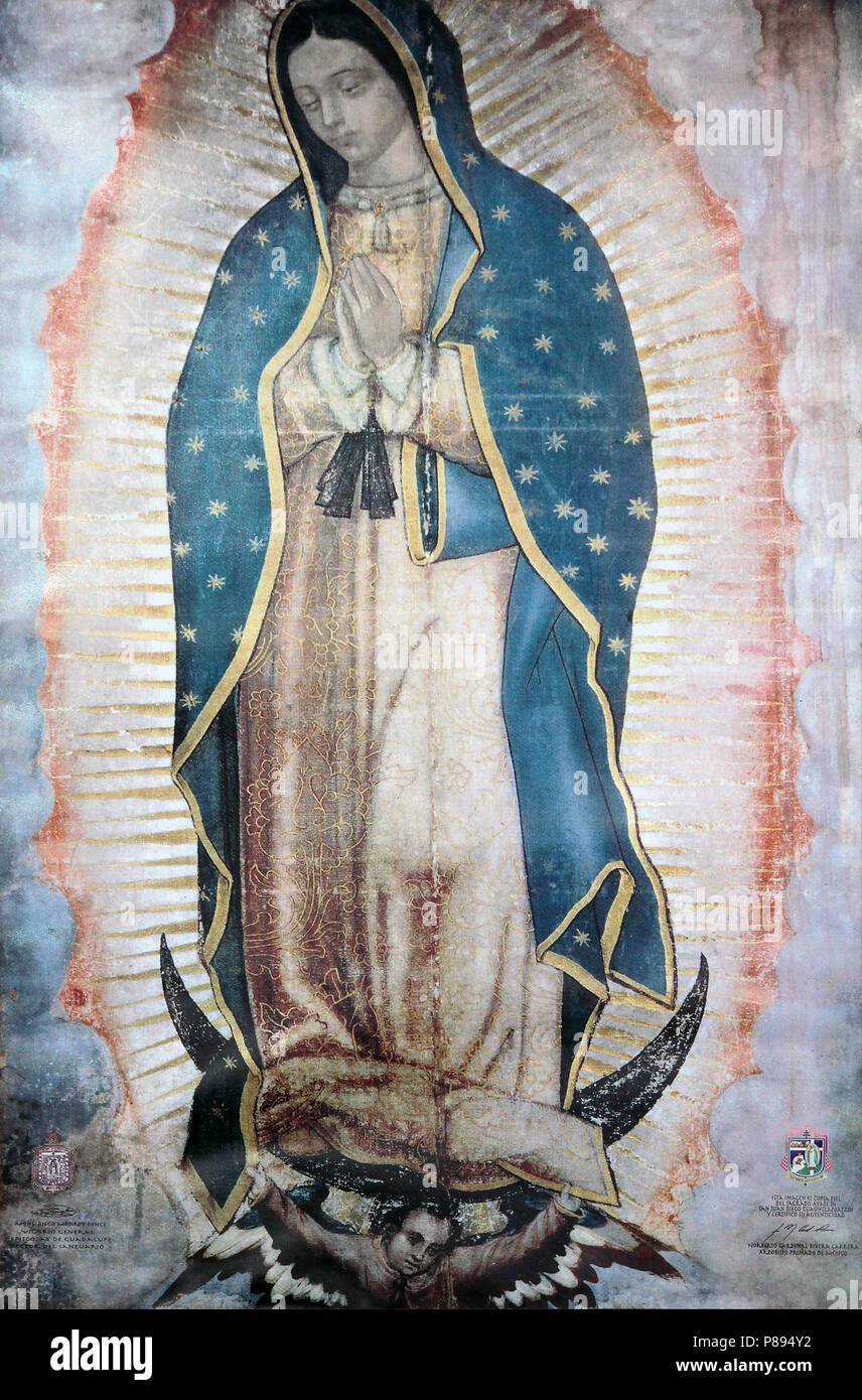 Our Lady's Image On The Tilma Our Lady Of Guadalupe