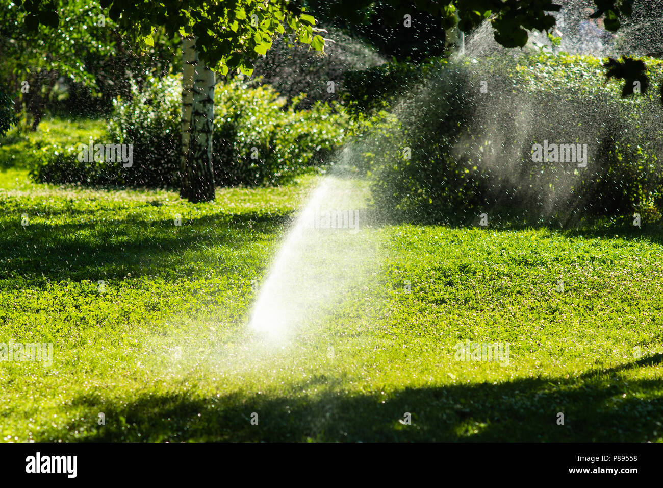 Automatic Watering Sprinkler System Works In The Garden On A Hot