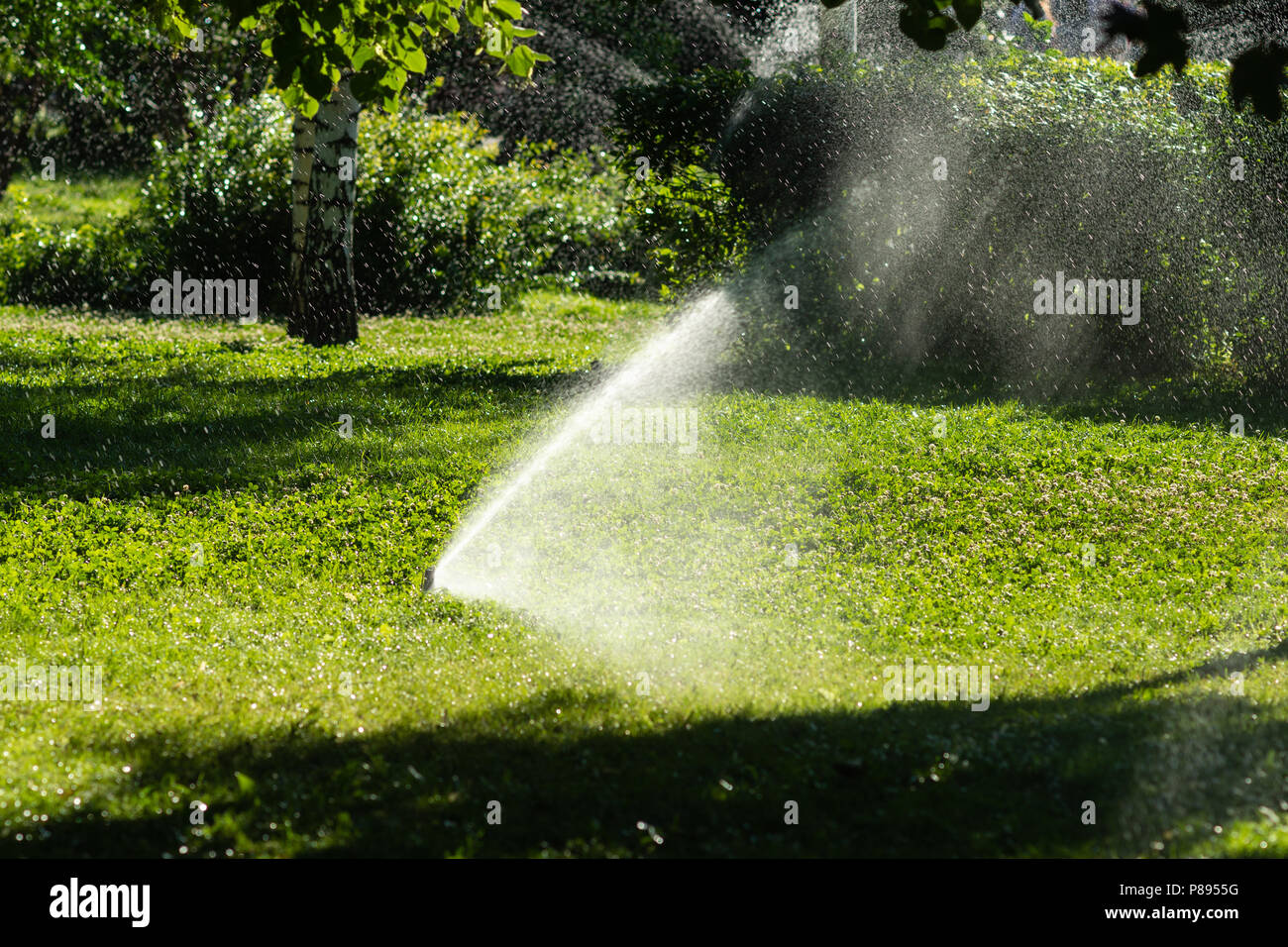 Automatic watering sprinkler system works in the garden on a hot and