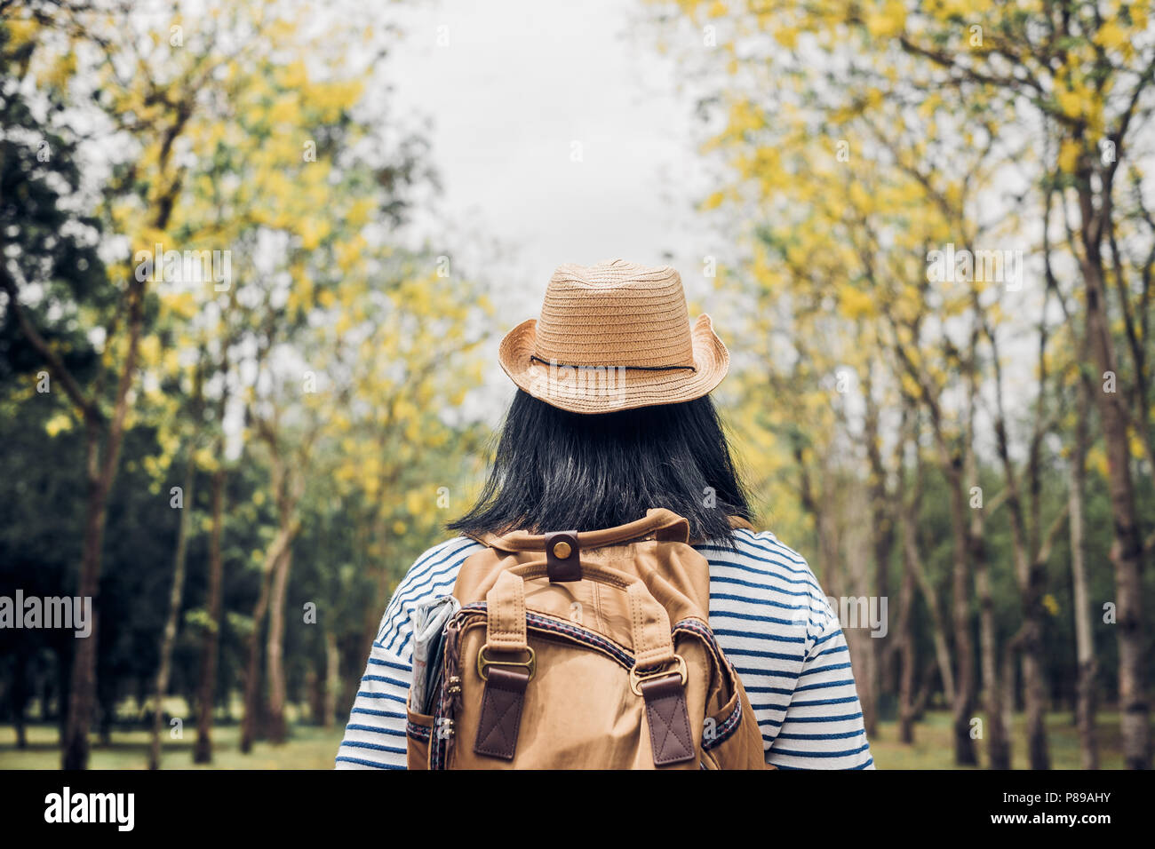 Back of young traveler woman backpacker looking forward at forest in autumn season,Freedom wanderlust travel.solo backpack Stock Photo
