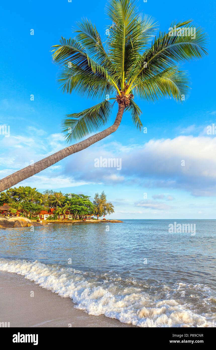 The nature of Koh Samui in Thailand Stock Photo - Alamy