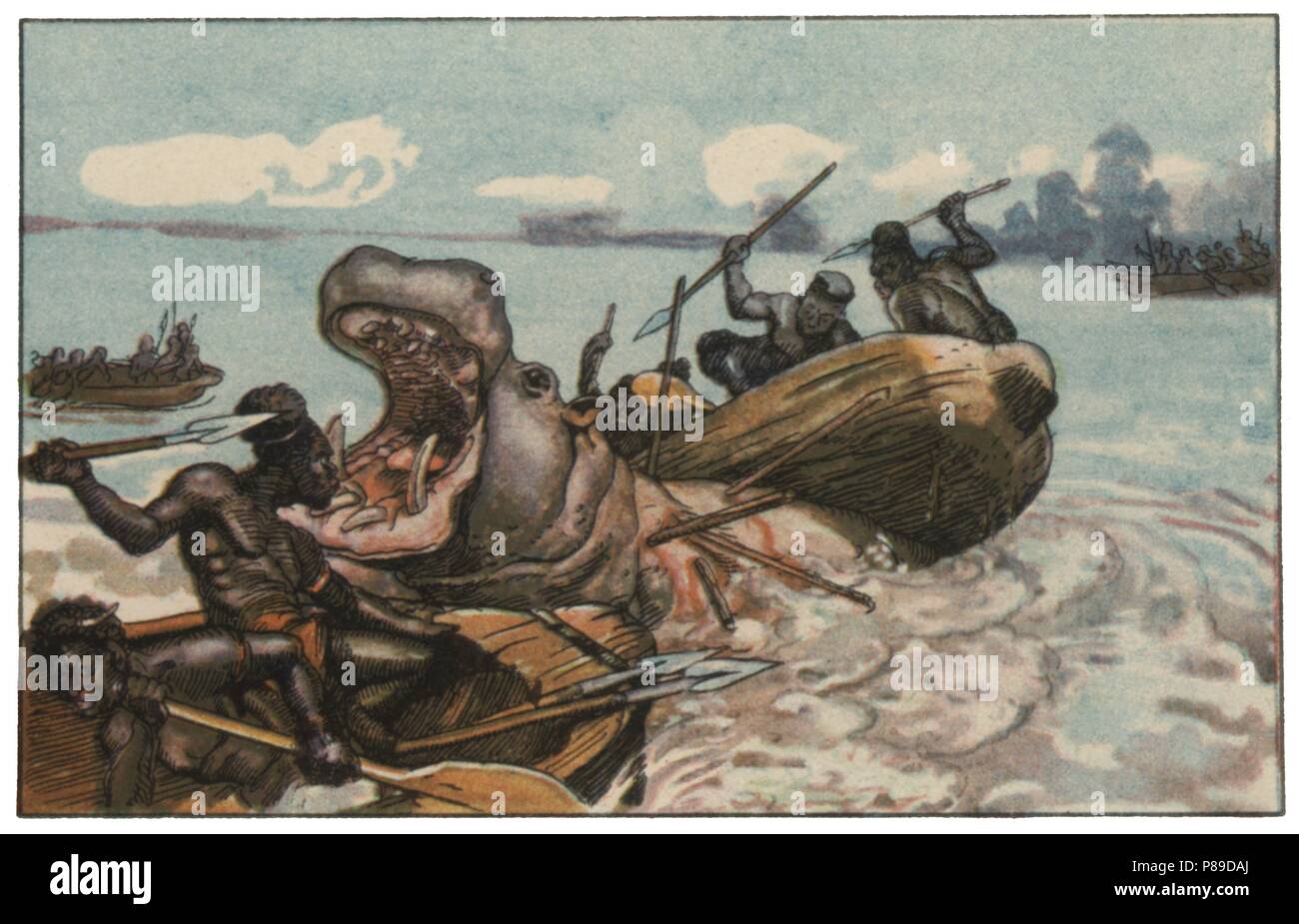 El hombre y las fieras. Cacerías y pescas primitivas. Caza del hipopótamo africano. Cromo de Chocolates Eduardo Pi. Años 1961. Stock Photo