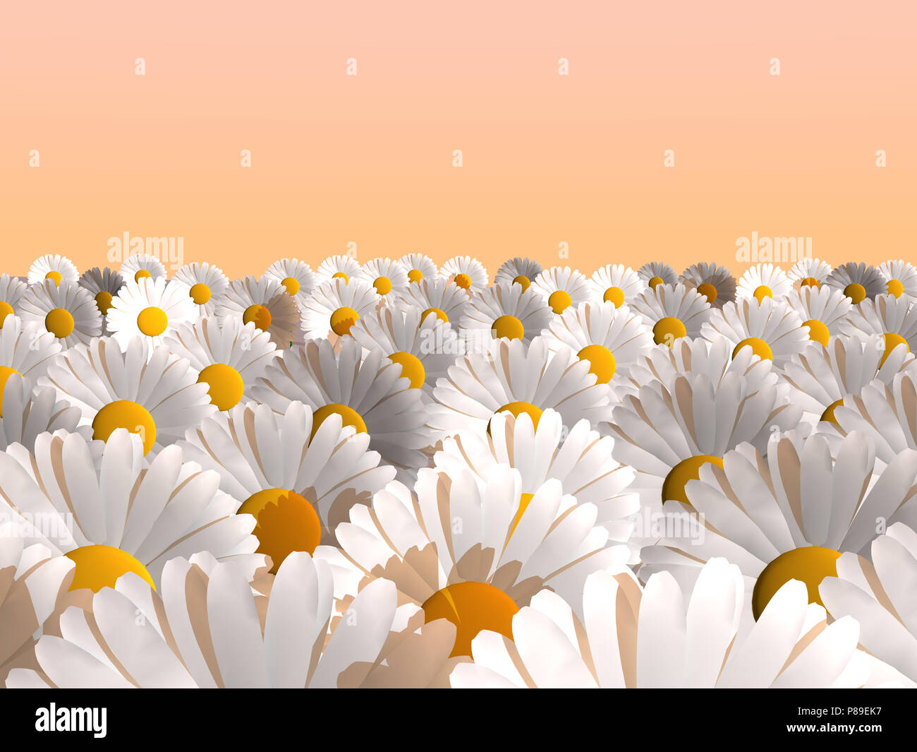 Daisy Rint Daisies illustration hi-res stock photography and images - Alamy