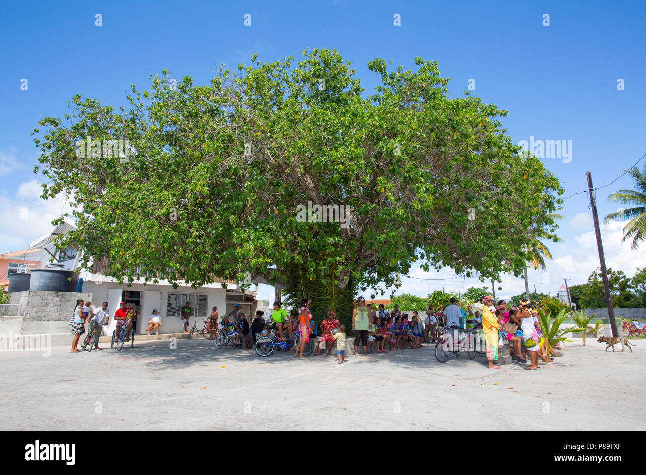 Manihi Community gathered in the shade of a large tree Stock Photo