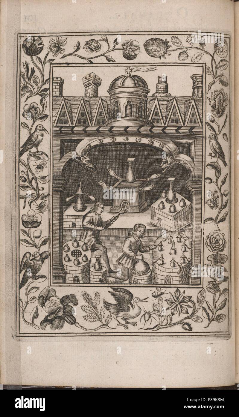 Theatrum chemicum Britannicum. Museum PRIVATE COLLECTION Stock Photo