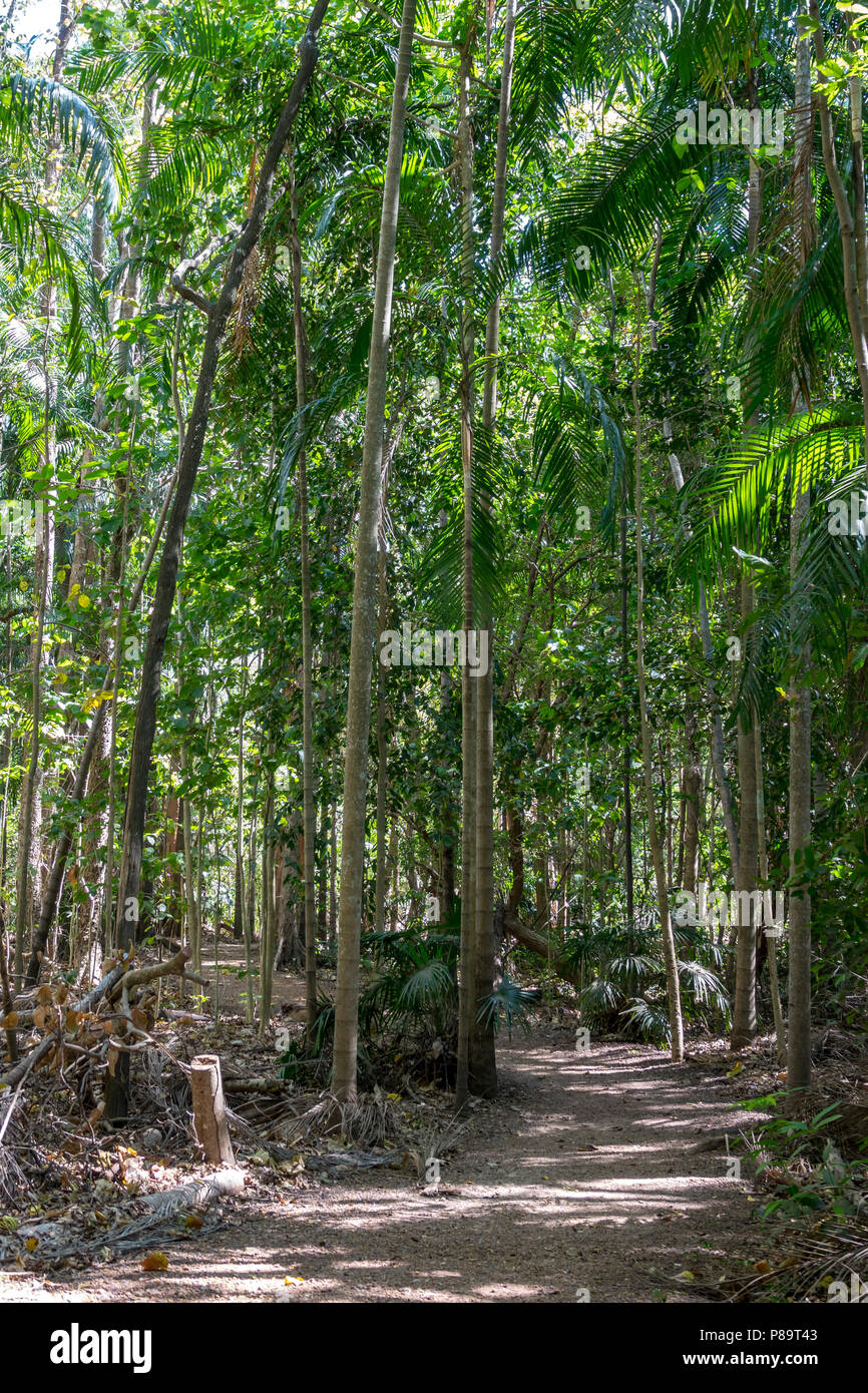 Monsoon forest hires stock photography and images Alamy