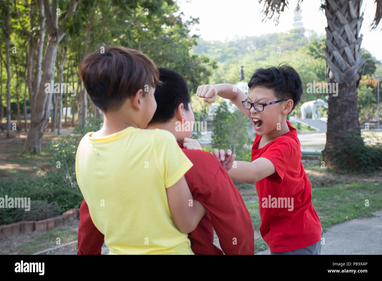 Young boy students fighting  in the park Stock Photo