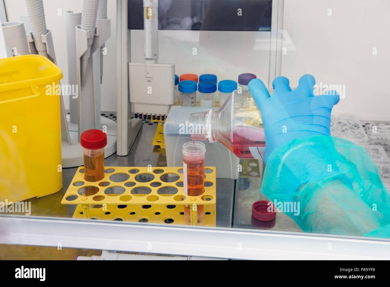 Research activity carried out in the medical laboratory Stock Photo