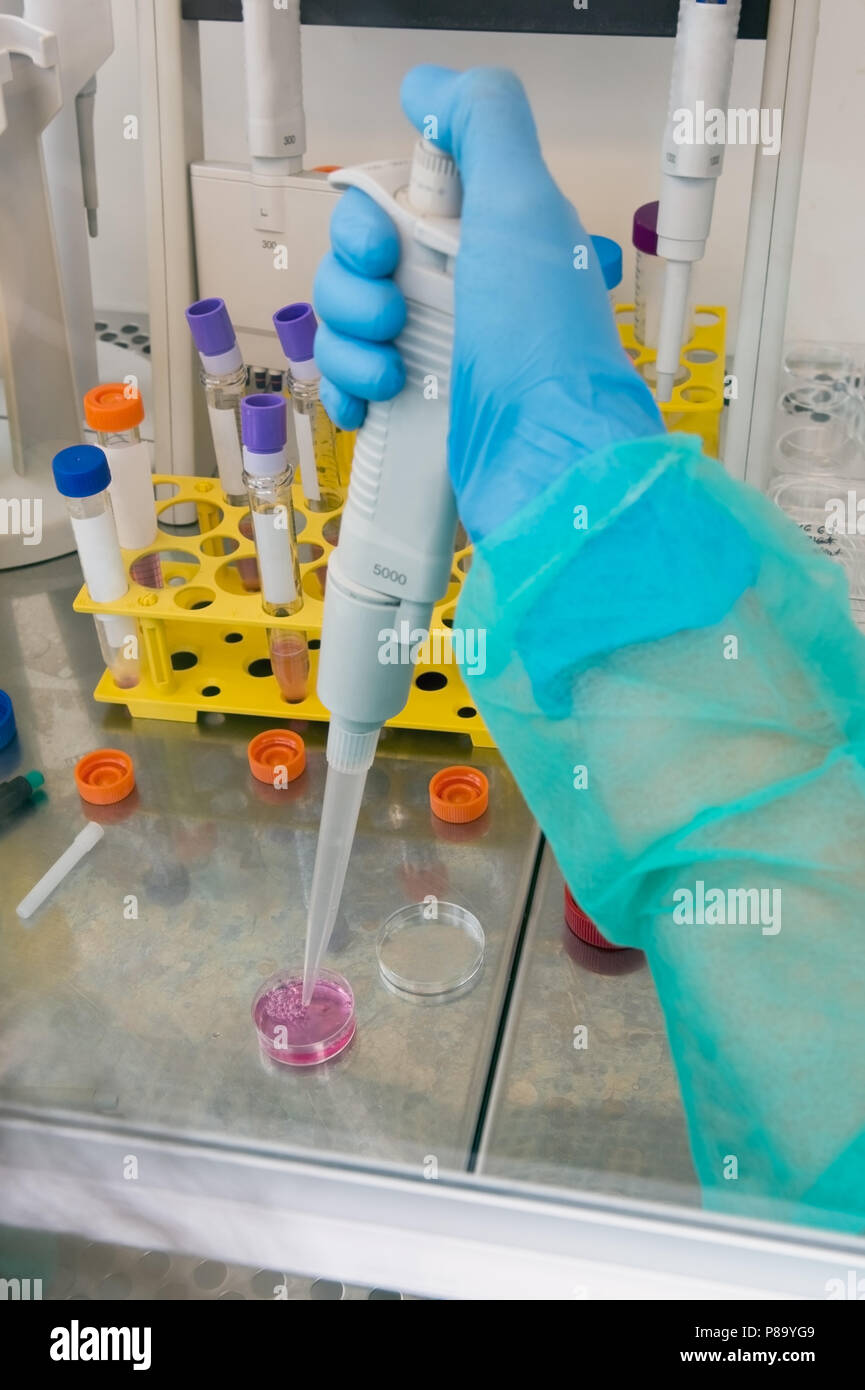 Preparing research studies in cancer treatment Stock Photo