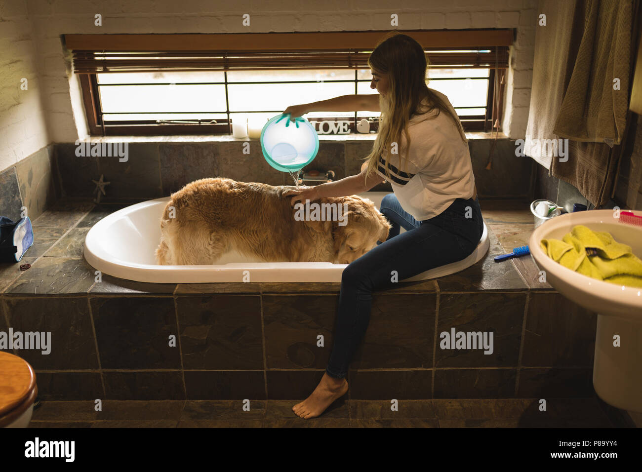 Girl cleaning a dog in bathroom Stock Photo Alamy