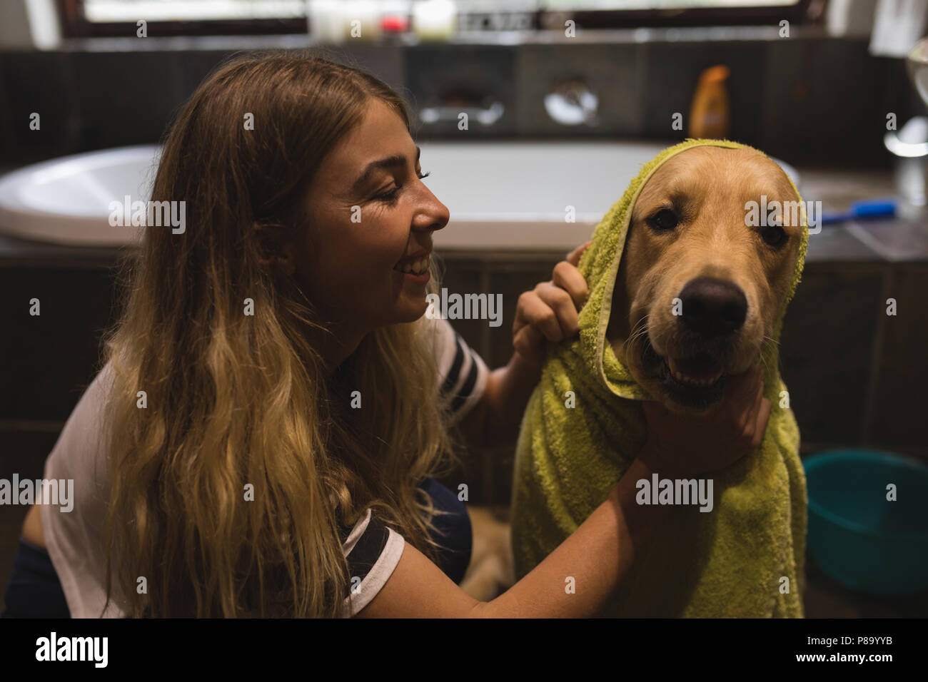 Girl cleaning a dog in bathroom Stock Photo Alamy