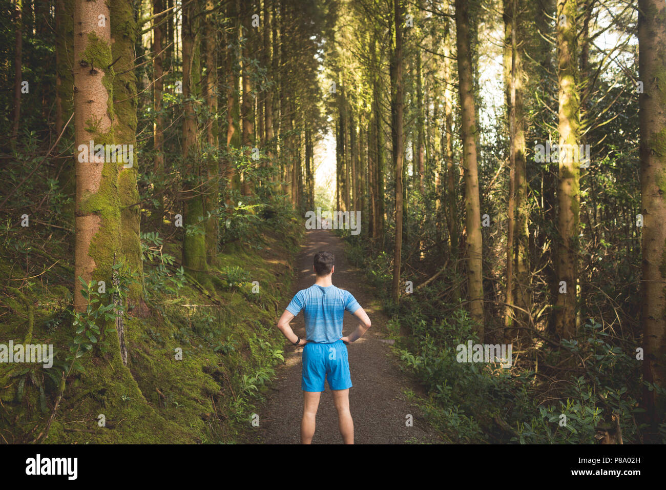 Man standing in forest hi-res stock photography and images - Alamy