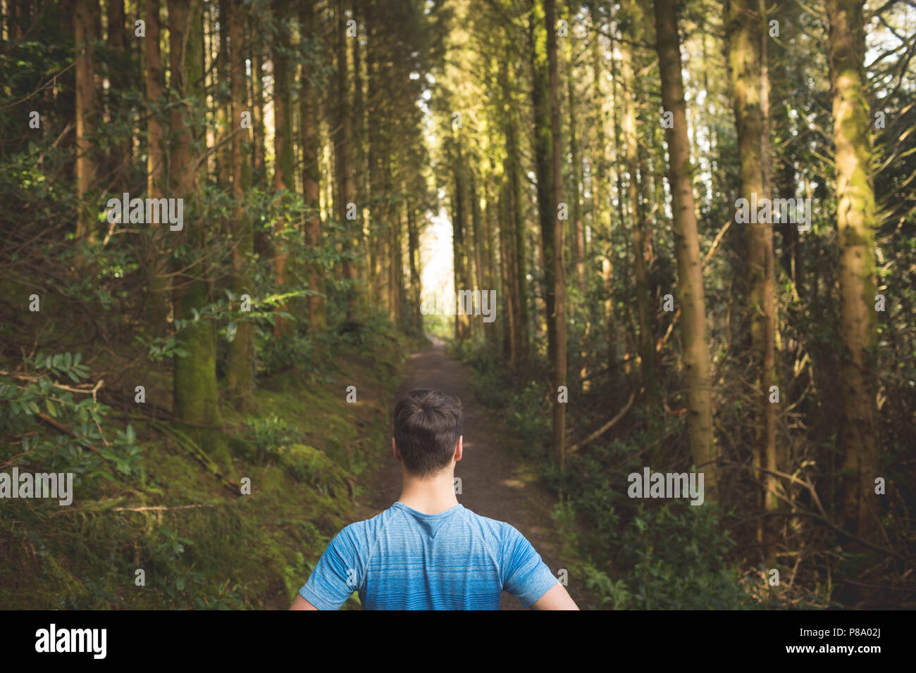 Man standing in forest hi-res stock photography and images - Alamy