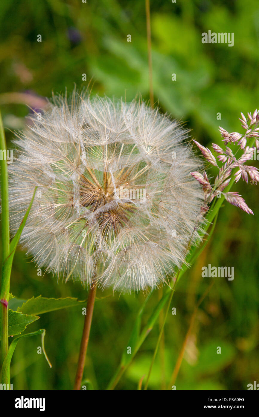 Go to bed hires stock photography and images Alamy