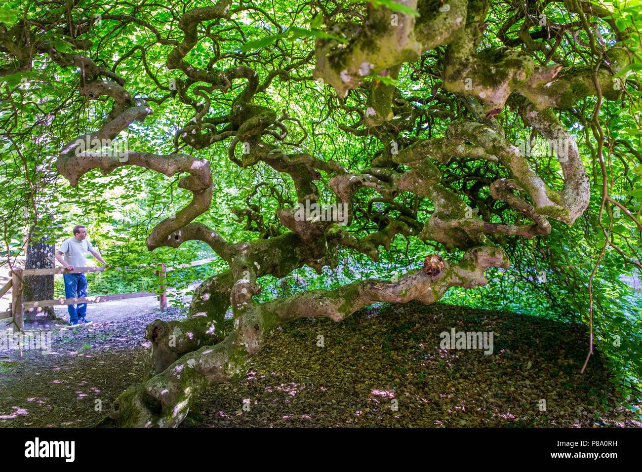Visitor Barrier Hi res Stock Photography And Images Alamy