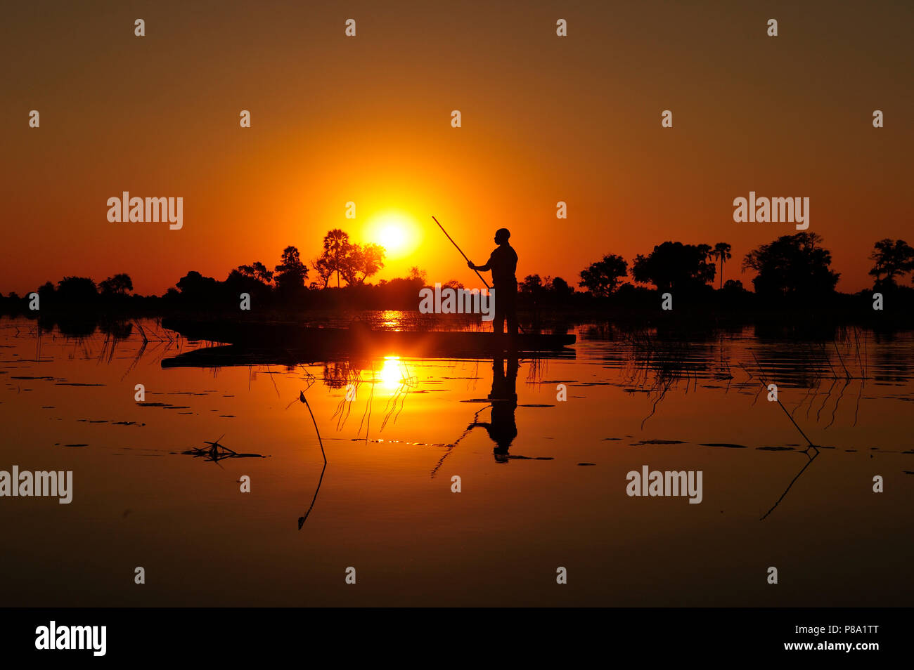 Local bargeman sails in traditional Mokoro dugout boat at sunset, Okavango Delta, Botswana Stock Photo