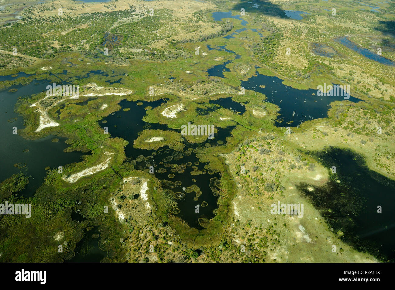 Wetlands, freshwater marshland with canals and islands, aerial view, Okavango Delta, Moremi Game Reserve, Botswana Stock Photo