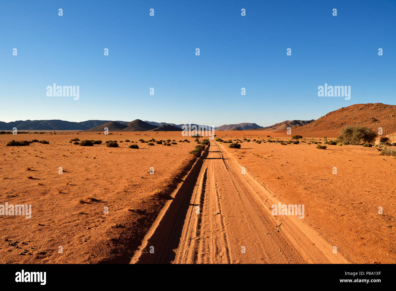 Sandtrack in the soft evening light leads through the steppe with mountains on the horizon, Tiras mountains, Namibia Stock Photo