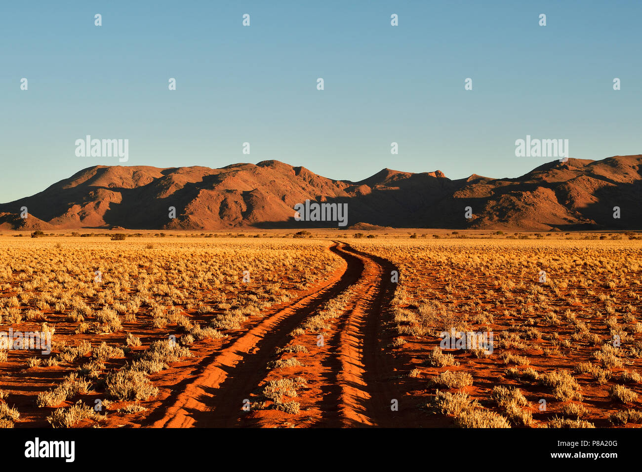 Sandtrack through desert landscape at evening light, in the back Tiras mountains, Namibia Stock Photo