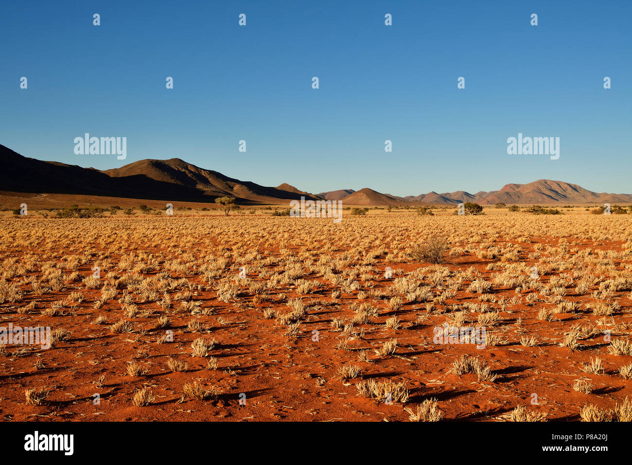 Desert Landscape, Tiras Mountains, Namibia Stock Photo