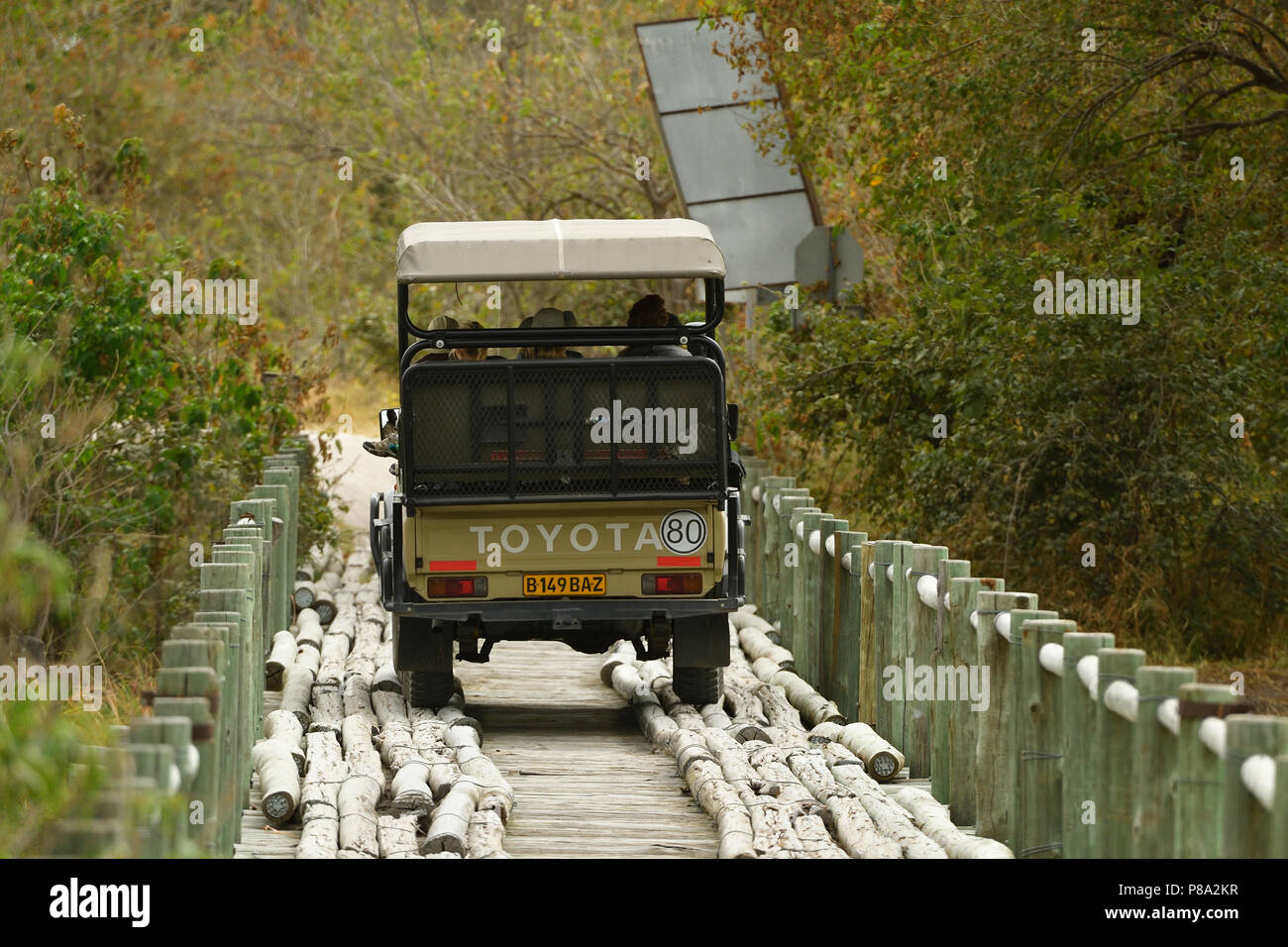 Off-road vehicle drives over narrow simple wooden bridge, Okavango Delta, Botswana Stock Photo