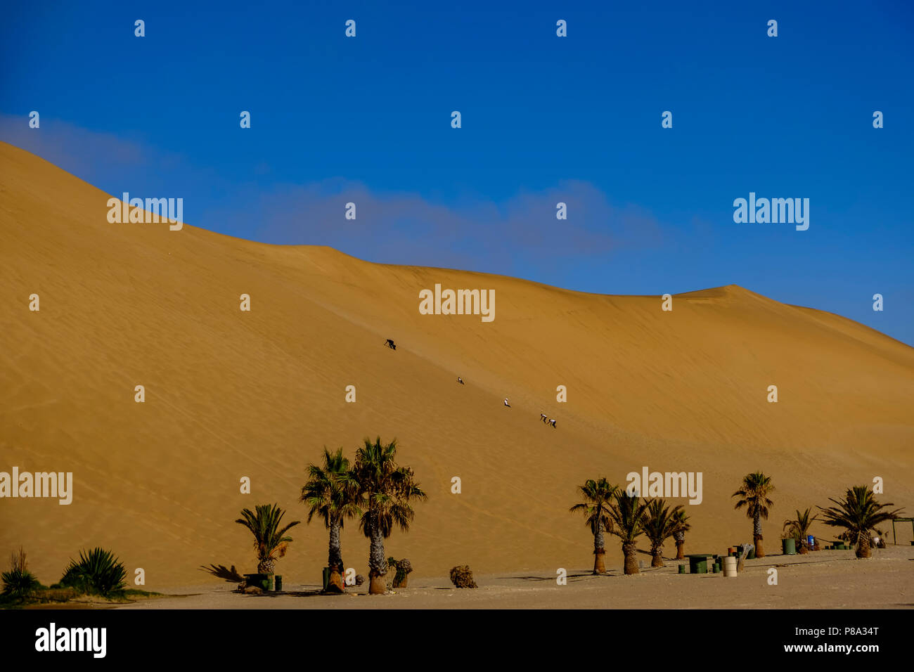 Dune 7 Namibia High Resolution Stock Photography and Images Alamy