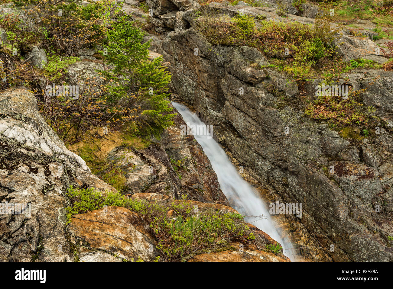 Lower tier of Silver Cascade in spring, White Mountain National Forest