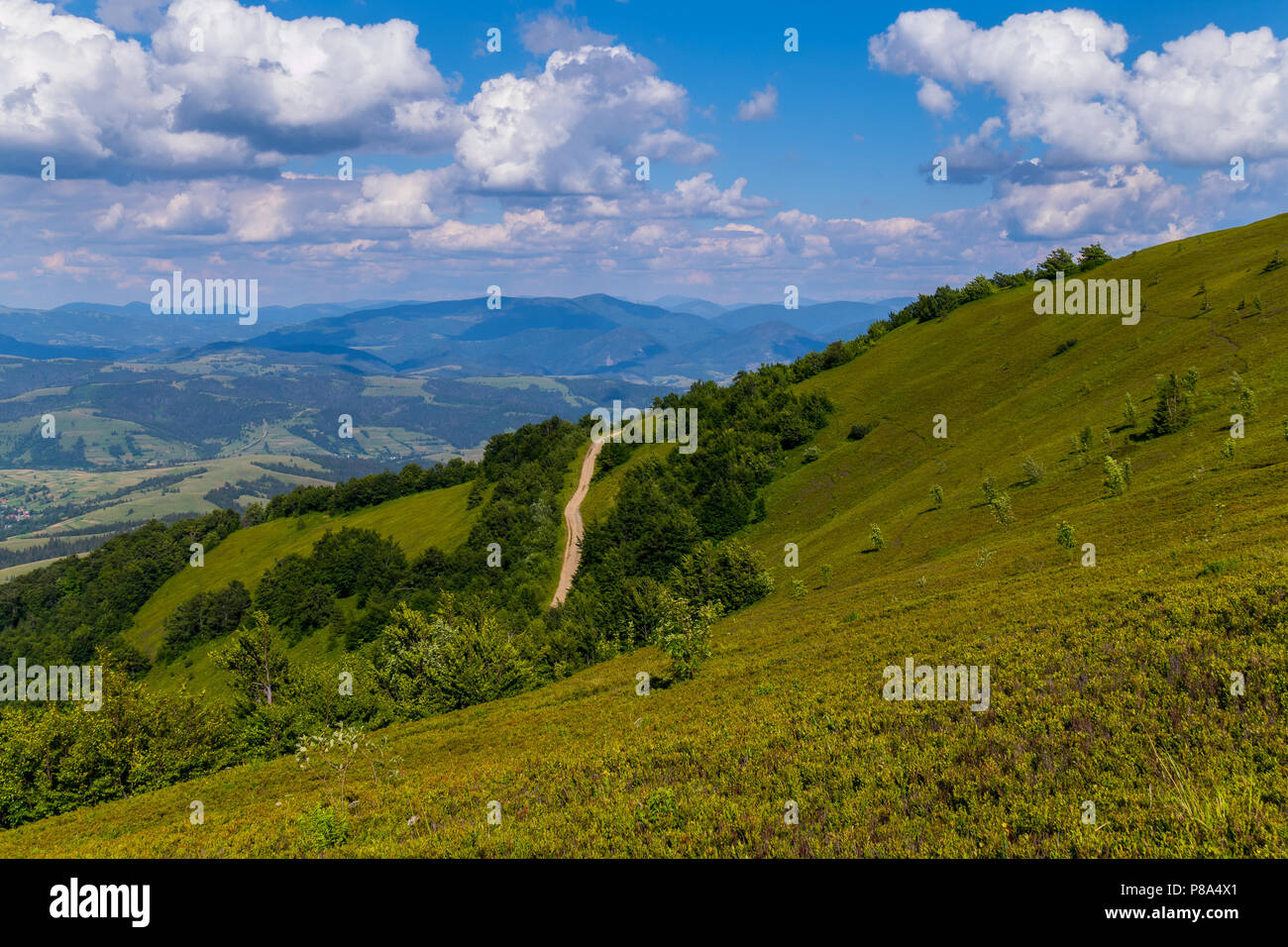 Growing along roadside hi-res stock photography and images - Alamy
