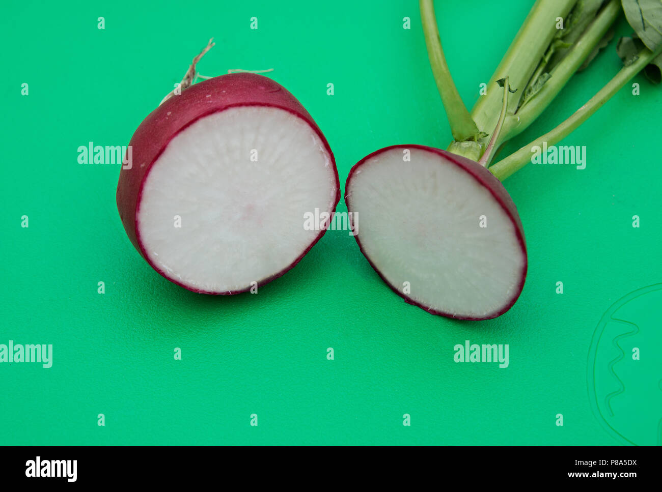 Growing large healthy radishes in the UK Stock Photo Alamy