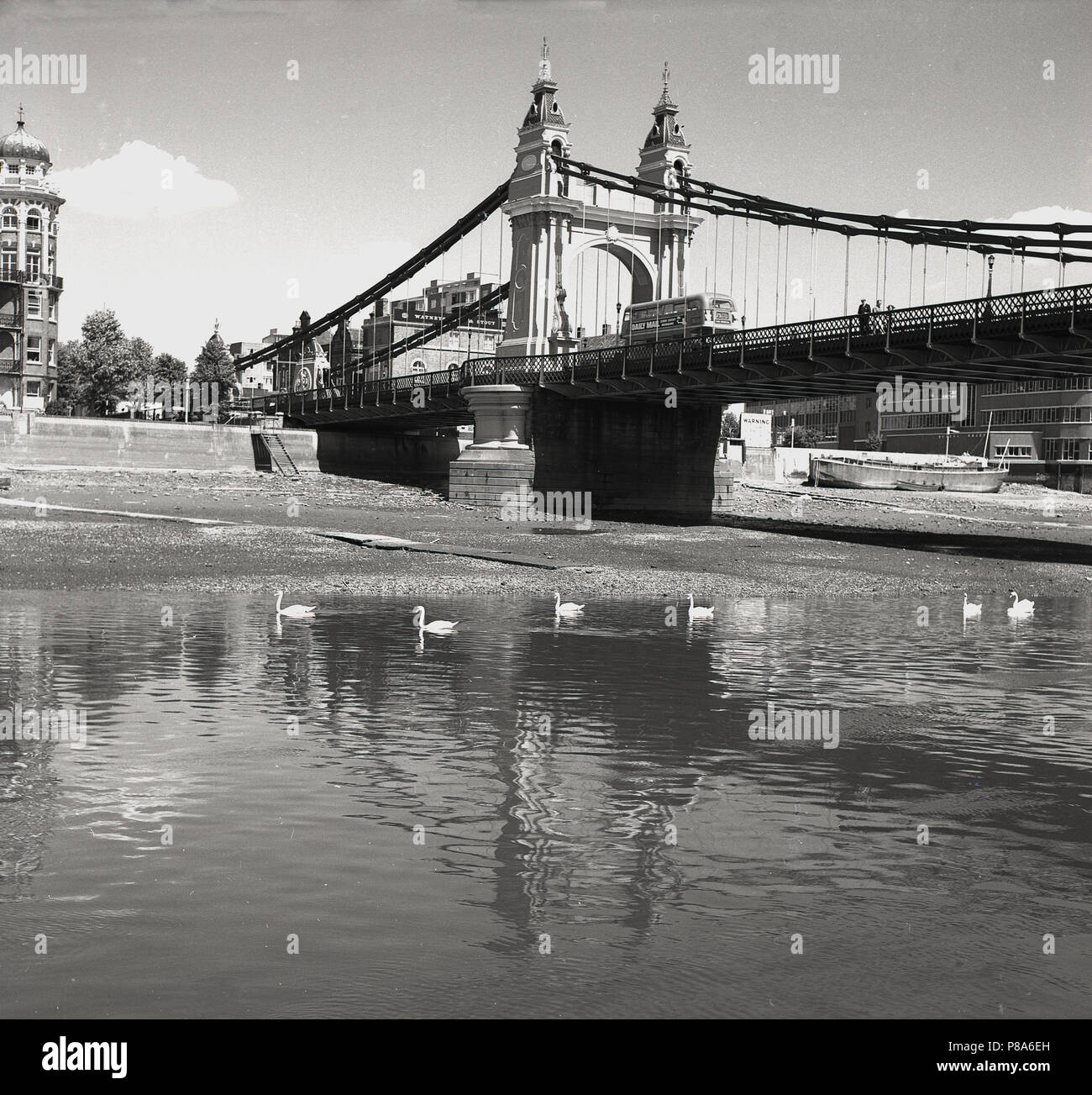 1950s, historical, Hammersmith Bridge, a view of the bridge on the Hammersmith riverside end. The bridge, which links the north side of the Thames to the south side, was the first suspension bridge over the River Thames when construction started in 1824. The bridge seen here is the second - replacement - one, built in 1887, which rests on the same pier foundations as the first. It was never designed to carry the weight and volume of road traffic which now exists in this part of inner London. Stock Photo
