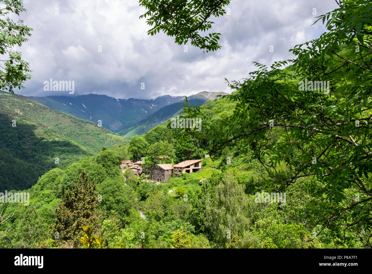 Views over pastures and farms at La Riba in the Catalonian Pyrenees in summer, Spain Stock Photo