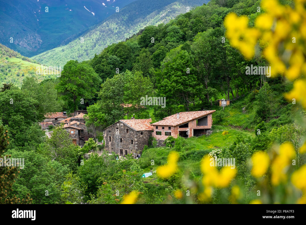 Views over pastures and farms at La Riba in the Catalonian Pyrenees in summer, Spain Stock Photo