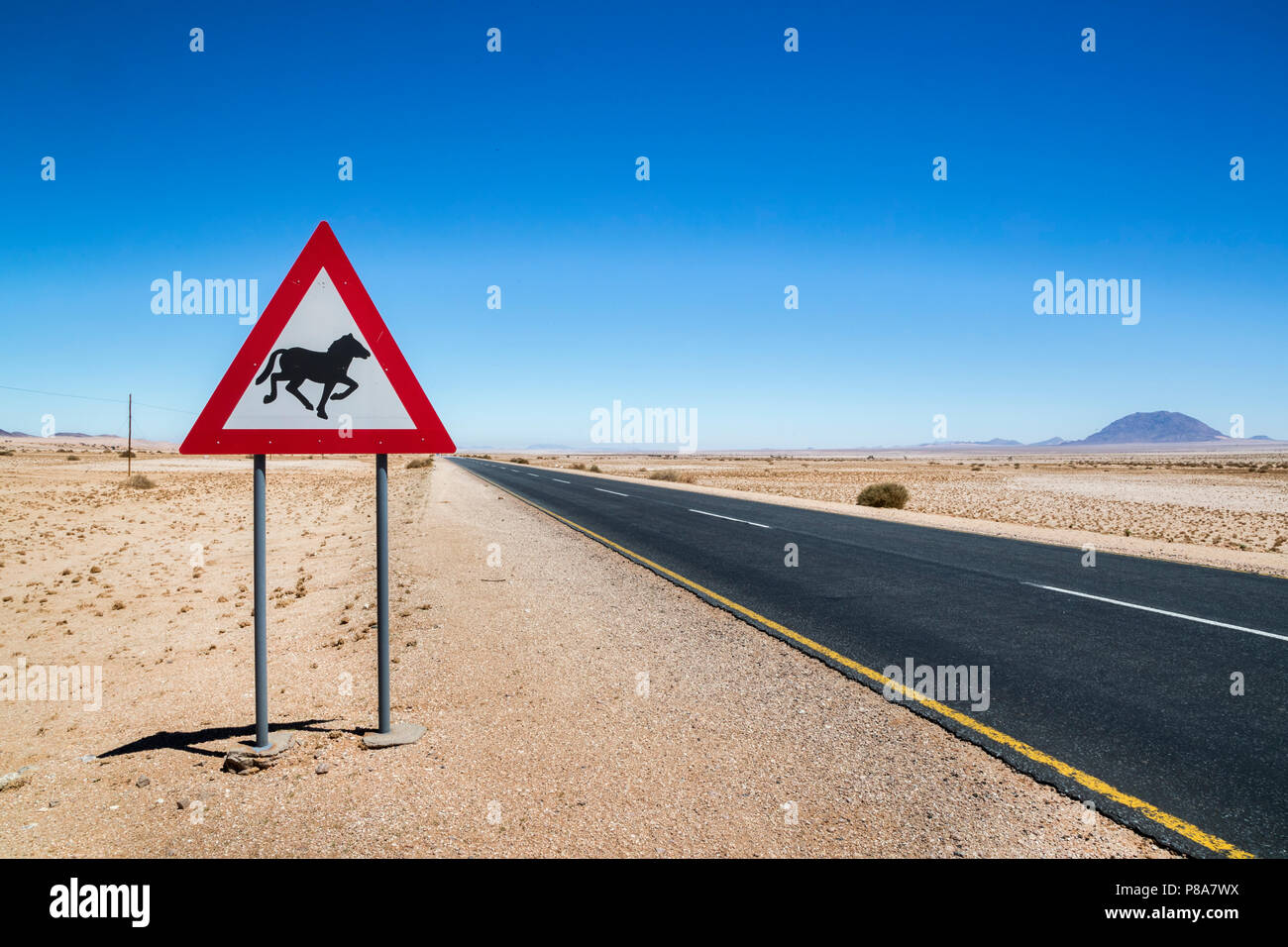 Road sign warning of wild horses, Namibia, Stock Photo