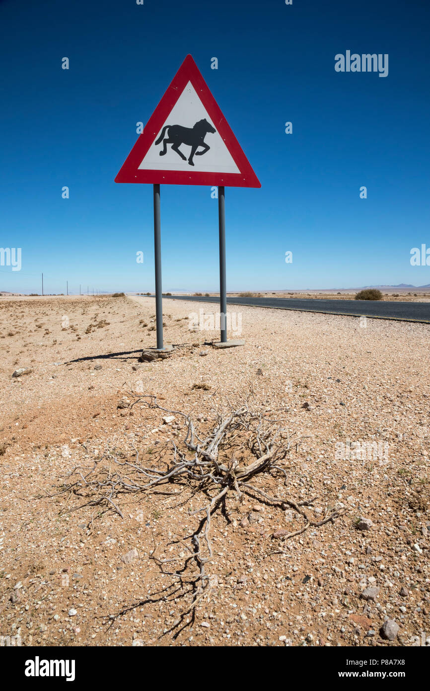 Road sign warning of wild horses, near Aus, road to Luderitz, Namibia, Stock Photo