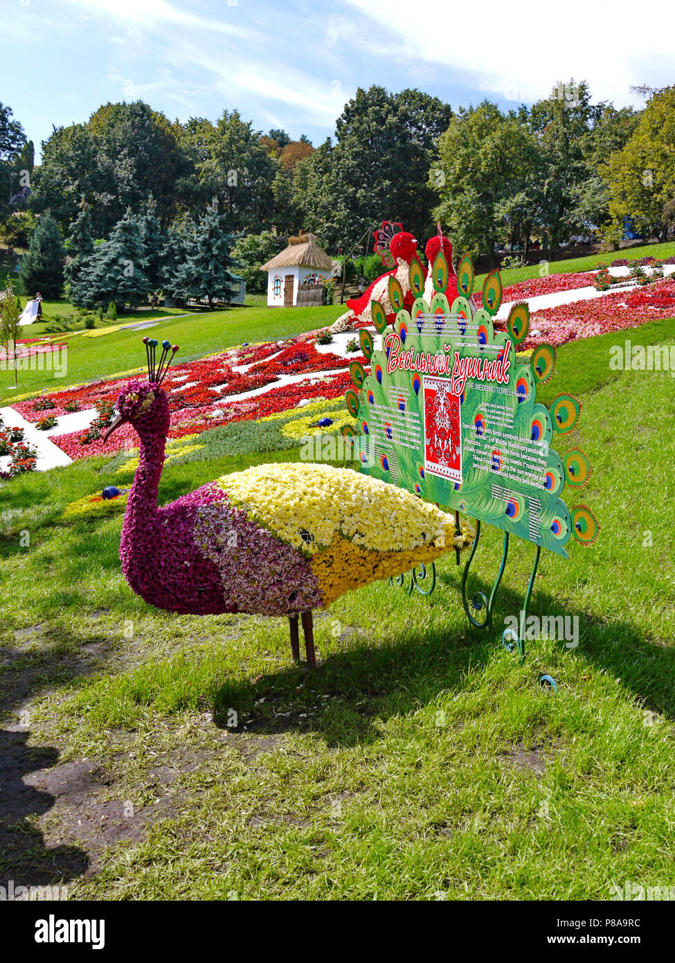 a magnificent peacock sculpture in a park made of flowers against the background of beautiful flower beds and green trees . For your design Stock Photo