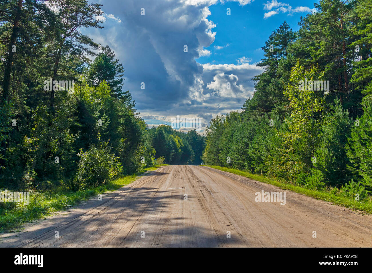 Flat Dirt Road In The Forest Against The Background Of Rain Clouds In The Sky For Your Design Stock Photo Alamy