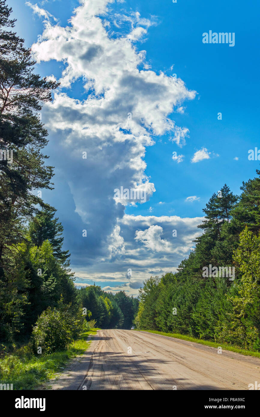 Road along large forest trees against a blue sky with white clouds ...
