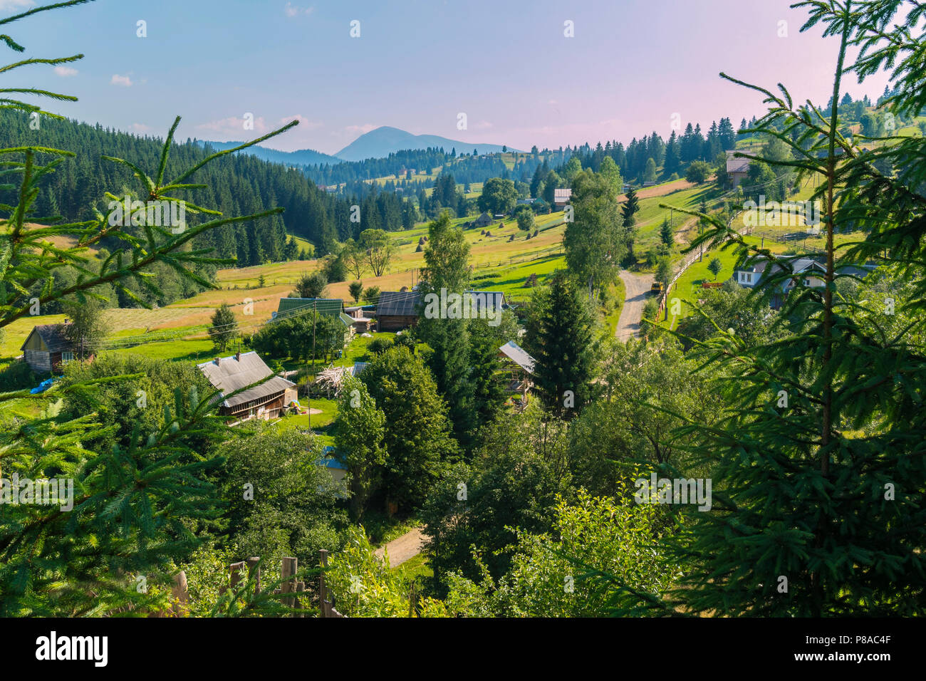 High fir hi-res stock photography and images - Alamy