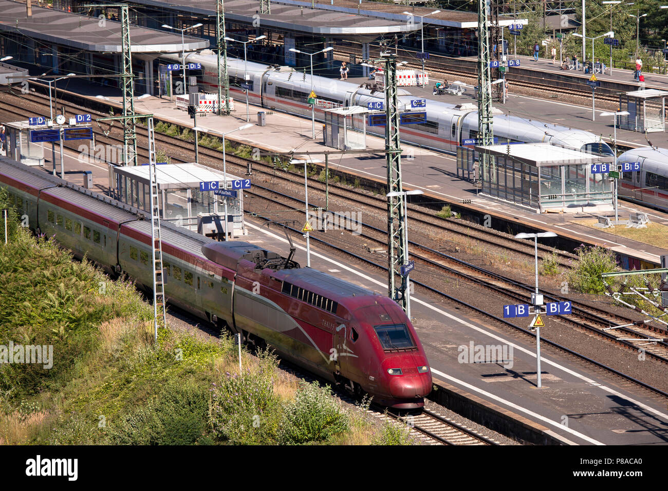 view to the station Deutz, high speed train Thalys, Cologne, Germany.  Blick auf den Bahnhof Deutz, Hochgeschwindigkeitszug Thalys, Koeln, Deutschland Stock Photo