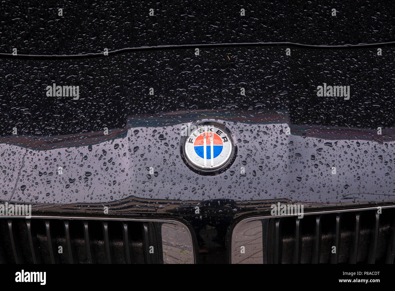 emblem of a Fisker Karma sports car, Cologne, Germany  Emblem eines Fisker Karma Sportwagens, Koeln, Deutschland. Stock Photo