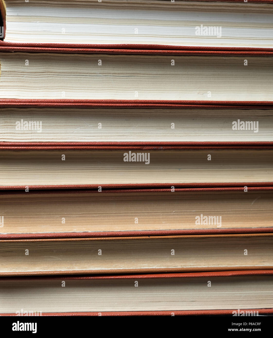 Many books in a bookstore or library with copy space Stock Photo Alamy