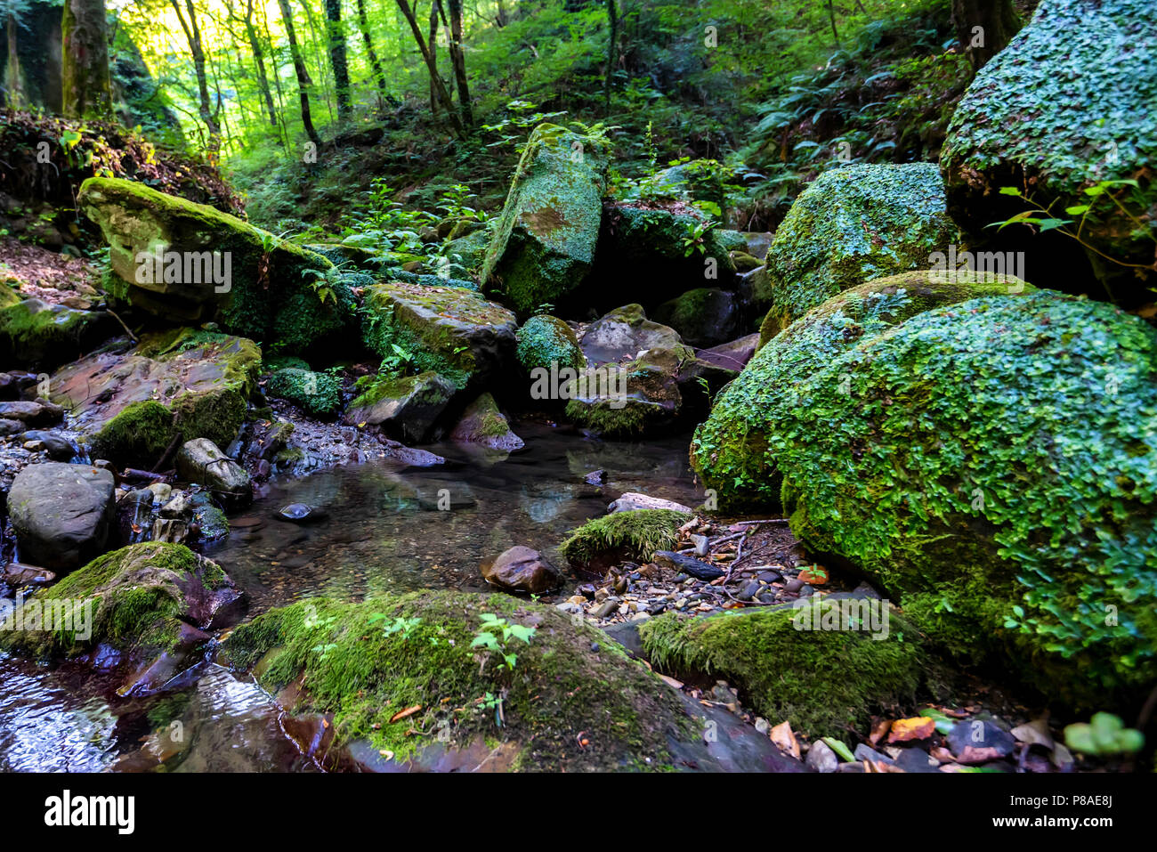Moss overgrown rocks waterfall hi-res stock photography and images - Alamy