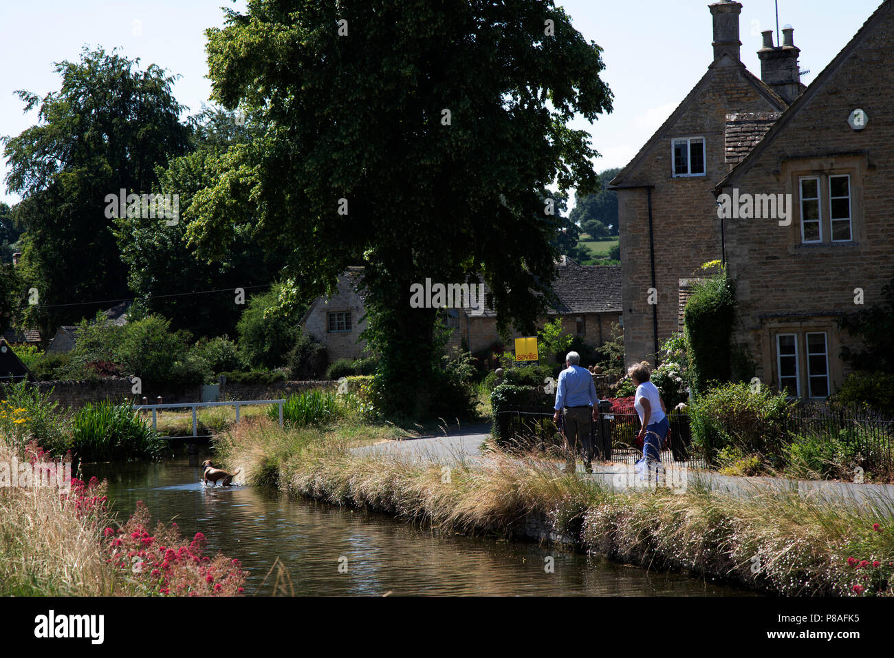 Lower Slaughter in The Cotswolds, United Kingdom. Lower Slaughter village is built on both banks of the River Eye, a slow-moving stream, crossed by two footbridges. Most of the 16th and 17th century homes in the village use Cotswold stone. The name of the village derives form the Old English term ‘slough’ meaning ‘wet land’. The Cotswolds is an area in south central England. The area is defined by the bedrock of limestone that is quarried for the golden coloured Cotswold stone. It contains unique features derived from the use of this mineral; the predominantly rural landscape contains stone-bu Stock Photo