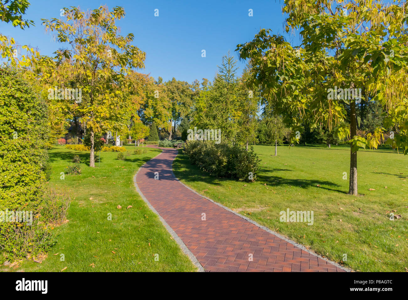 Beautiful nature with green grass and trees with a path going into the ...