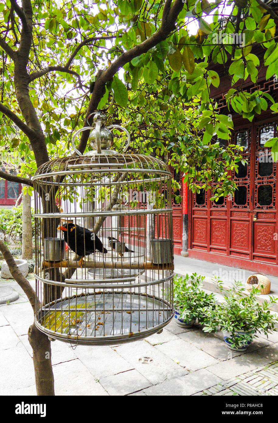 Single 2024 bird cage