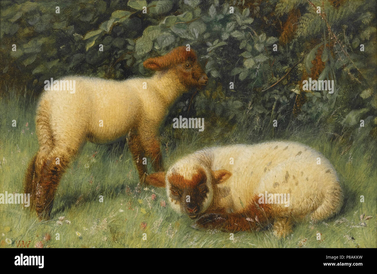 Webbe William James Early Lambs Stock Photo Alamy