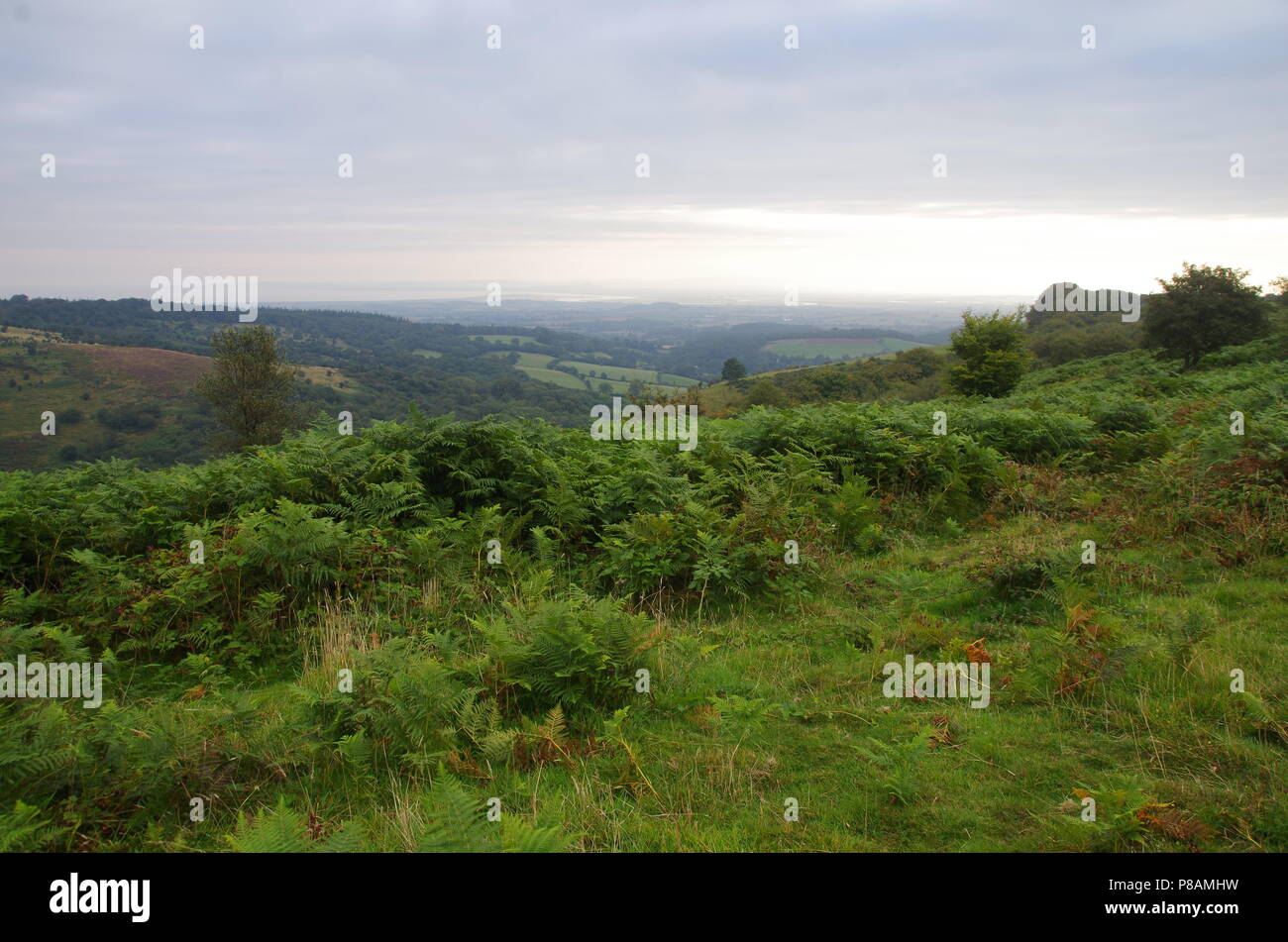 Quantock hills walking hires stock photography and images Alamy