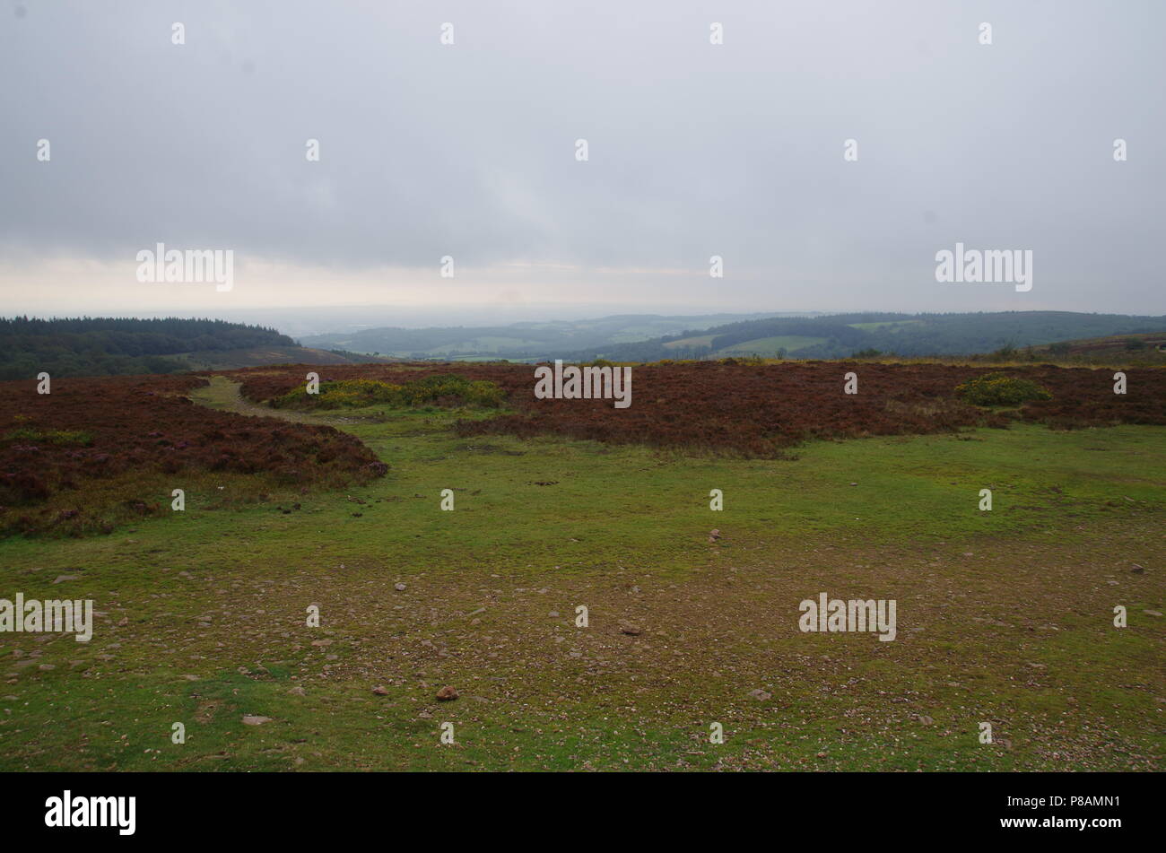Quantock hills walking hires stock photography and images Alamy