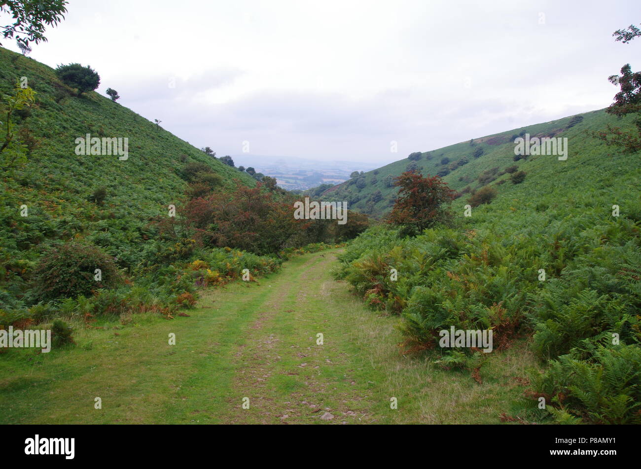 Quantock Hills. John o' groats (Duncansby head) to lands end. End to